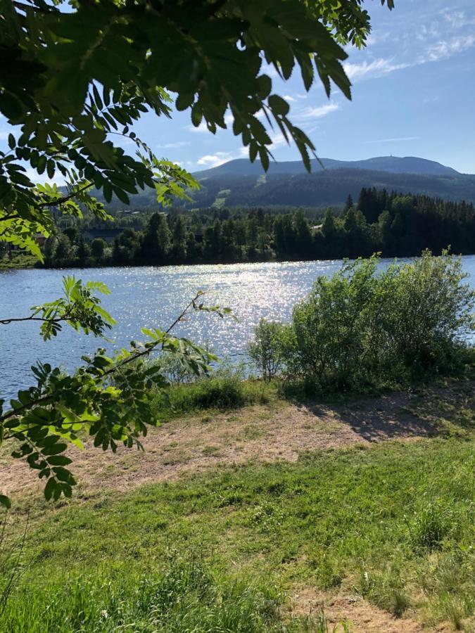 Sole, Bed & Breakfast Trysil