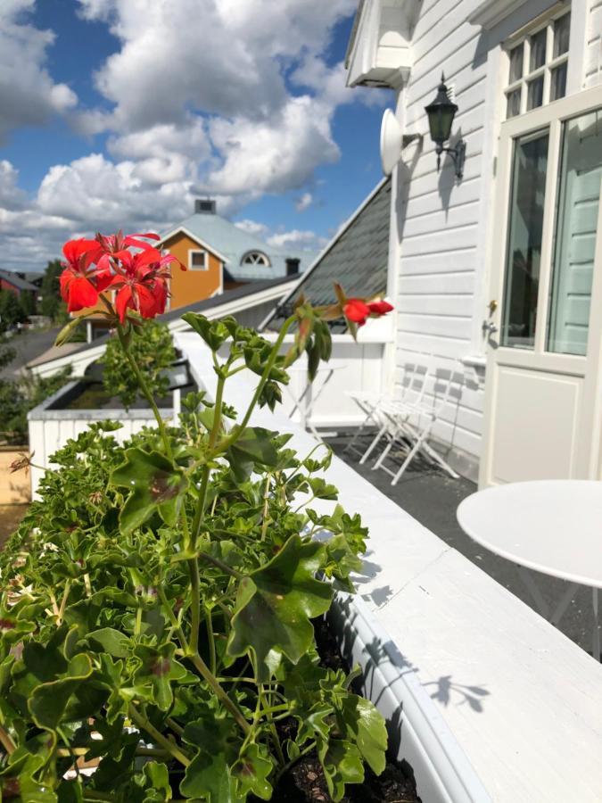 Bed & Breakfast Sole, Trysil