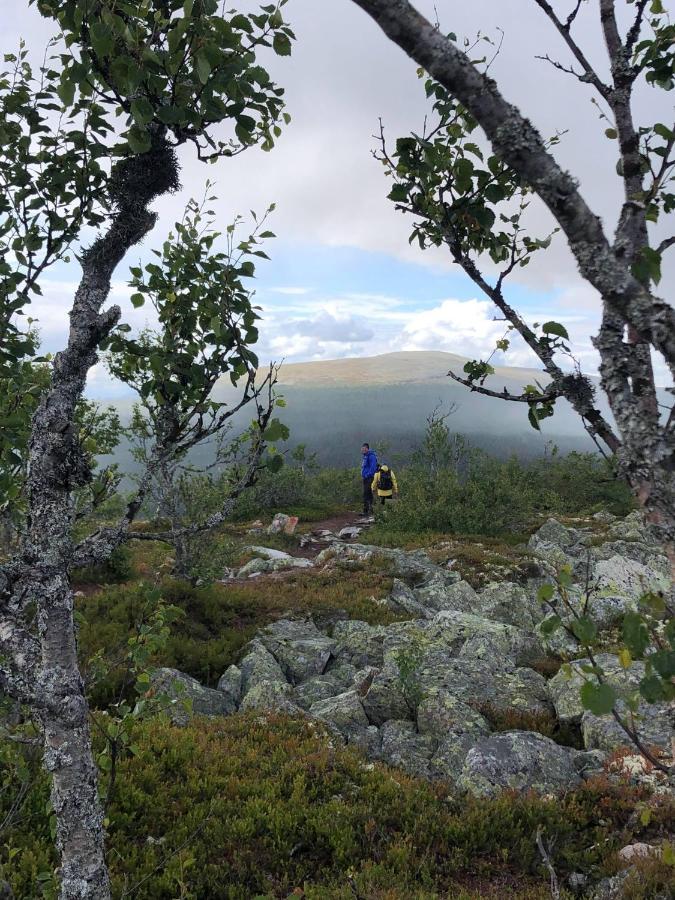 Sole, Trysil