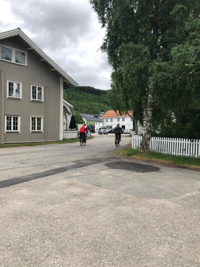 Sole, Bed & Breakfast Trysil