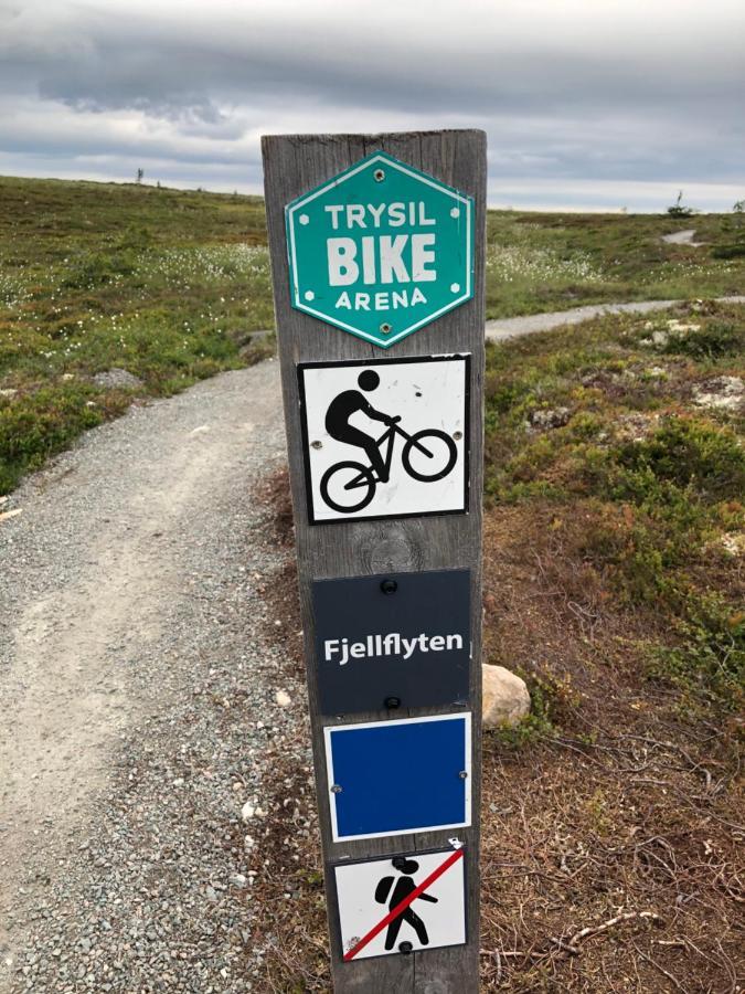 Sole, * Trysil