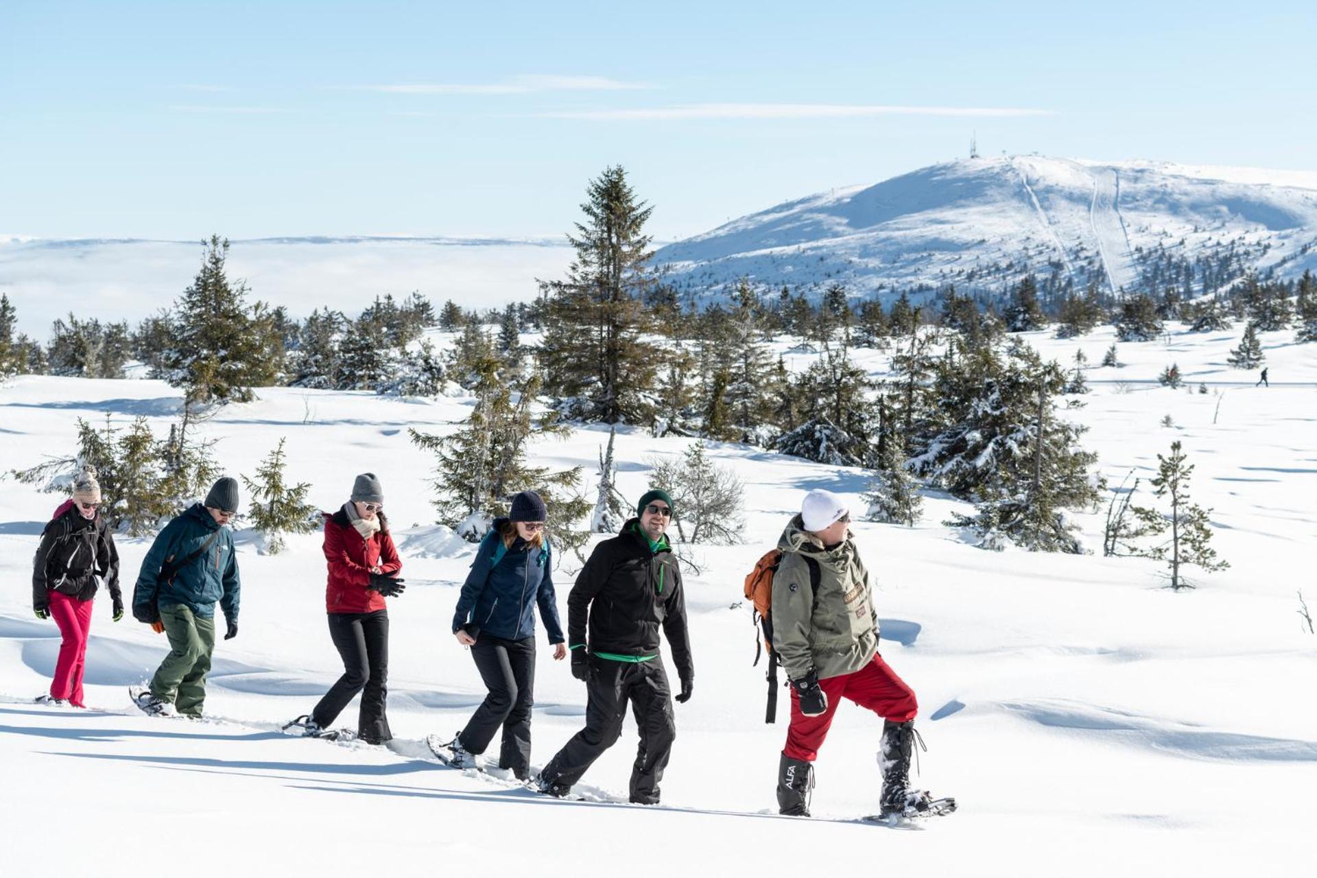 Sole, Trysil