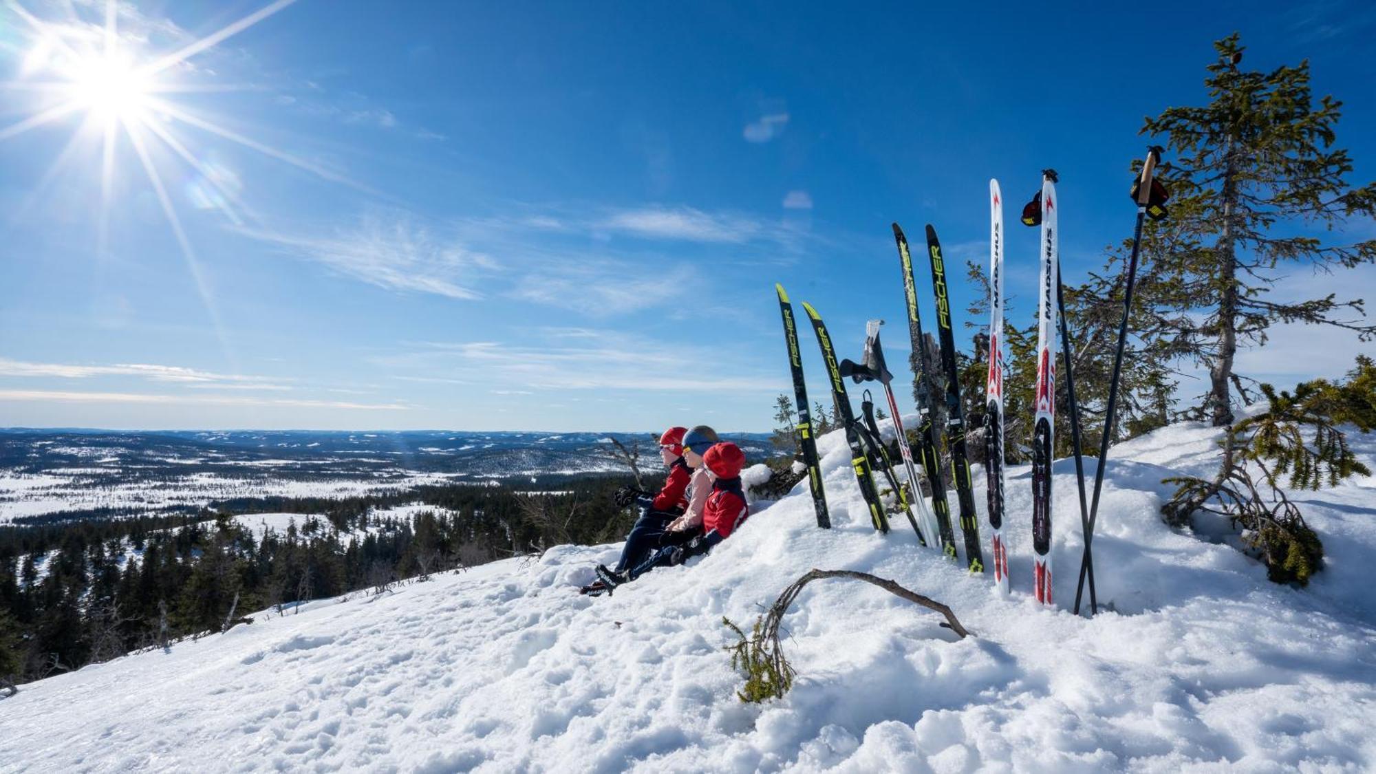Sole, * Trysil