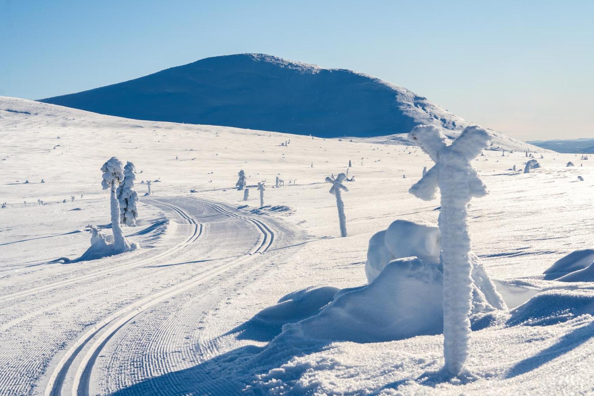 Sole, Trysil